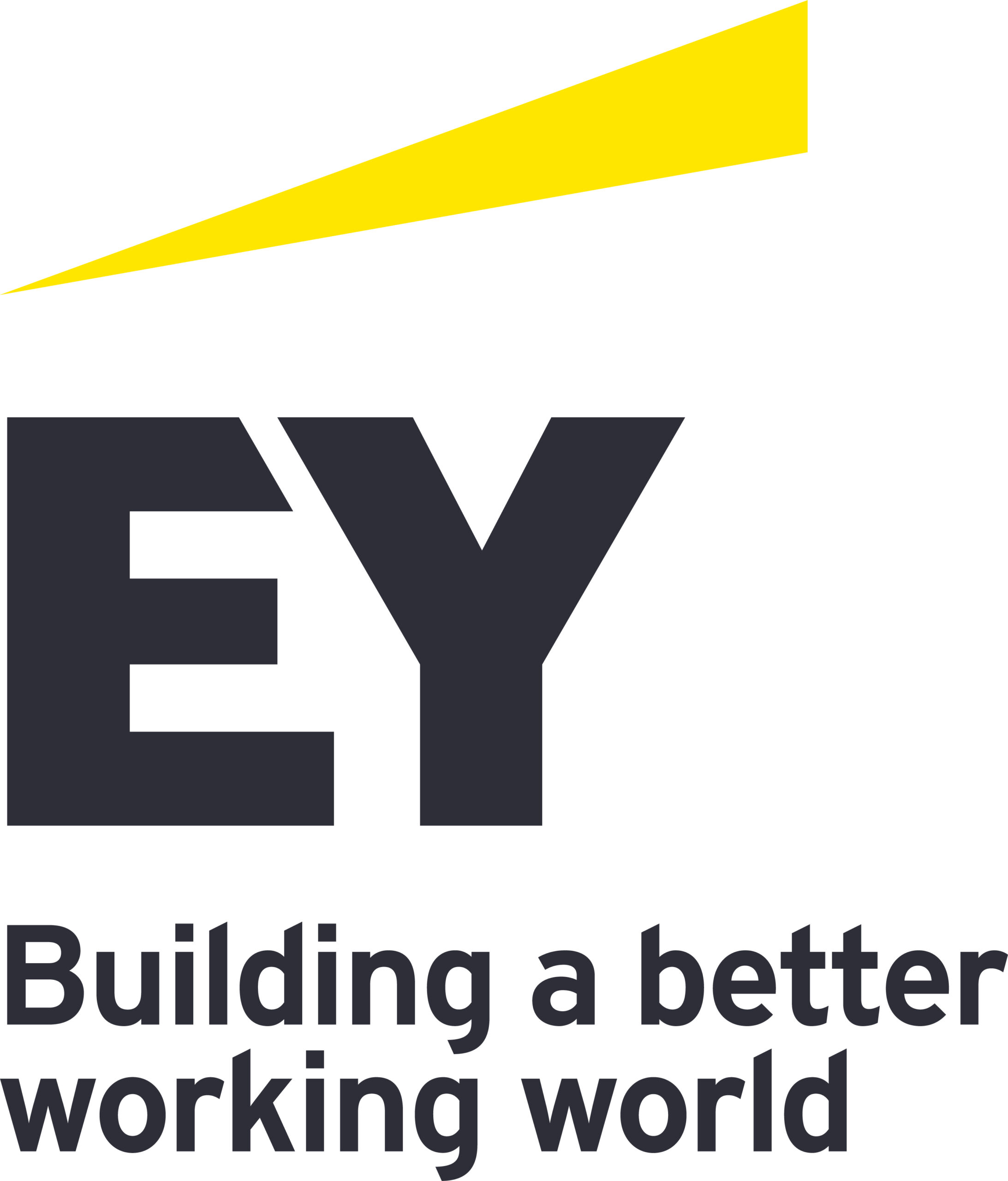 Ernst & Young (EY)
